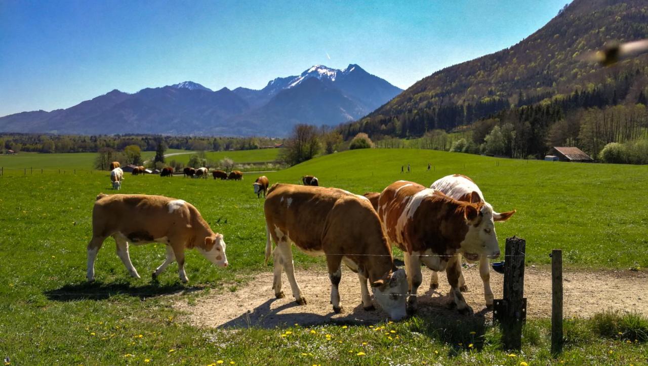Hoderhof Grassau (Bavaria) Exterior foto