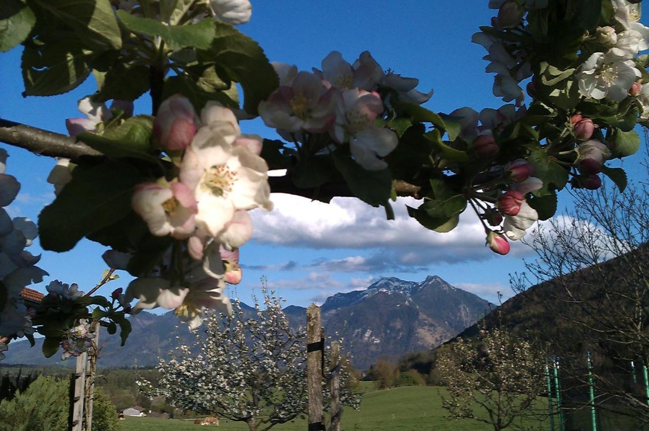 Hoderhof Grassau (Bavaria) Exterior foto
